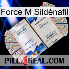 Force M Sildénafil kamagra1